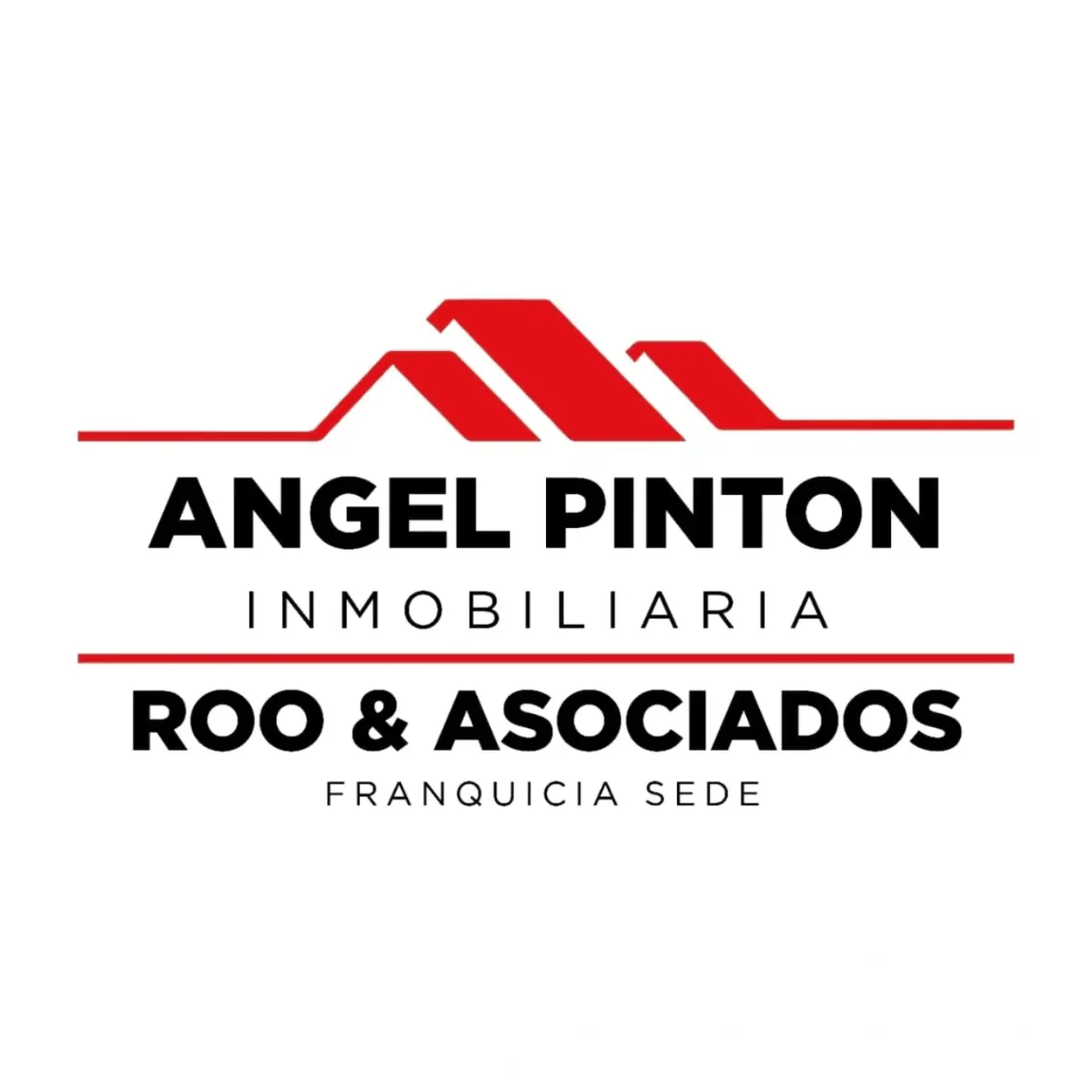 FS ROO & ASOCIADOS | ANGEL PINTON INMOBILIARIA