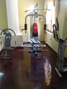Vista 15