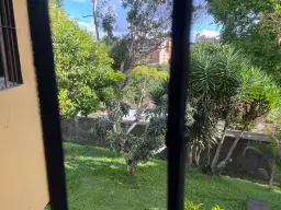 View 14