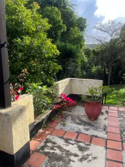 View 16