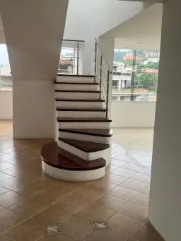 Vista 6