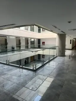 Vista 20