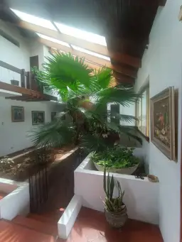View 6