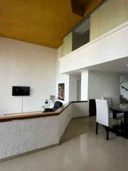 Vista 15