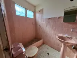 View 19