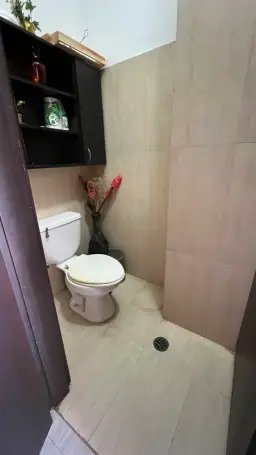 Vista 17