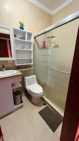 Vista 19
