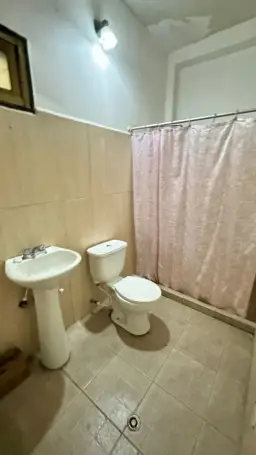 Vista 15