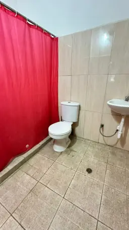 Vista 17