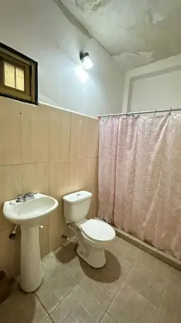 Vista 19