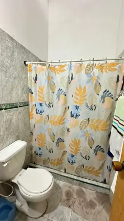 Vista 24