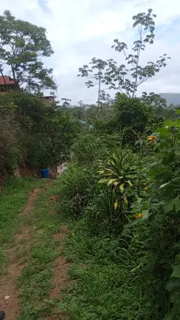 View 7