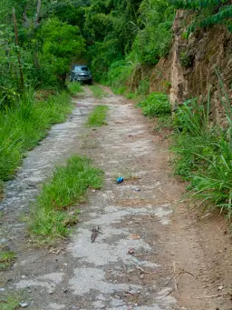 View 8