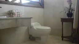 View 19