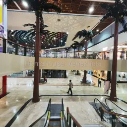 Vista 4