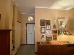 Vista 19