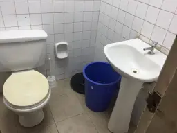 Vista 10