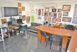 Vista 7
