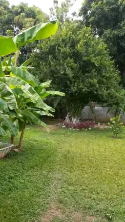 View 4