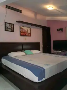 View 14