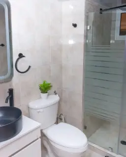 Vista 11