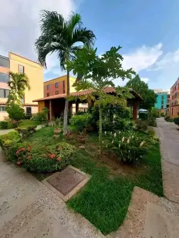 Vista 4