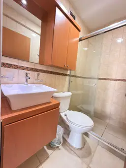 Vista 11