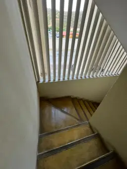 Vista 14