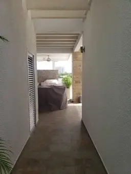 Vista 6