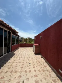 Vista 14