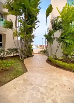 Vista 13