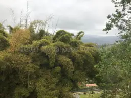 View 7
