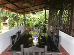 View 8