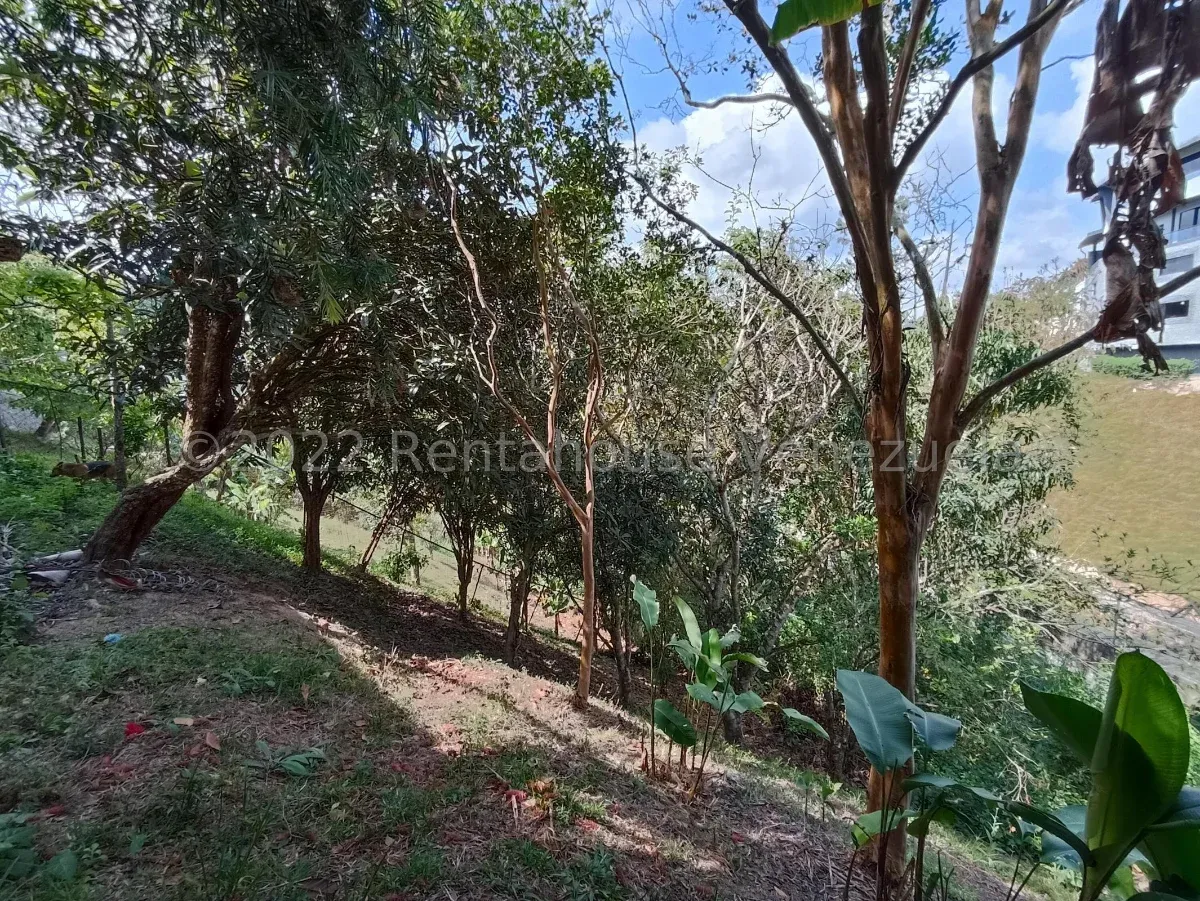 Estupenda Casa En Venta Pan De Azúcar, Colinas De Carrizal. Terreno Con Árboles Frutales, Terraza  - 10