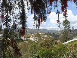 Vista 17