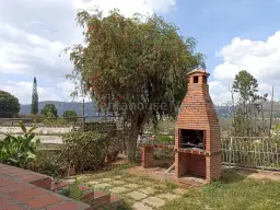 Vista 19