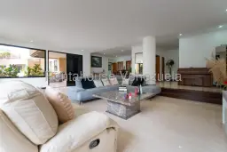 Vista 2
