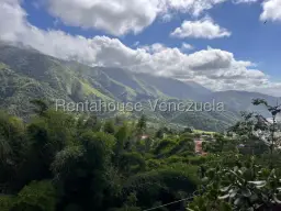 View 5