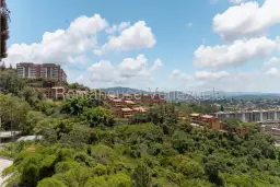 Vista 13