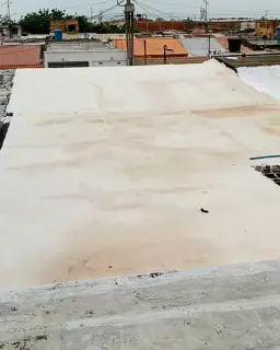 Vista 19