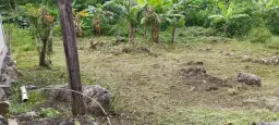 View 1