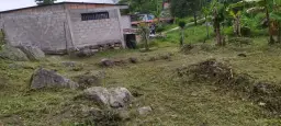 View 3