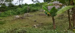 View 4
