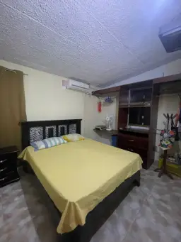View 5