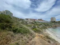 Vista 25
