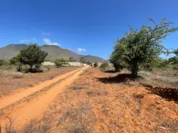 View 16