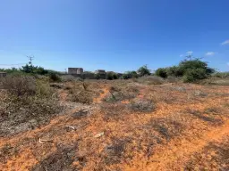 View 10