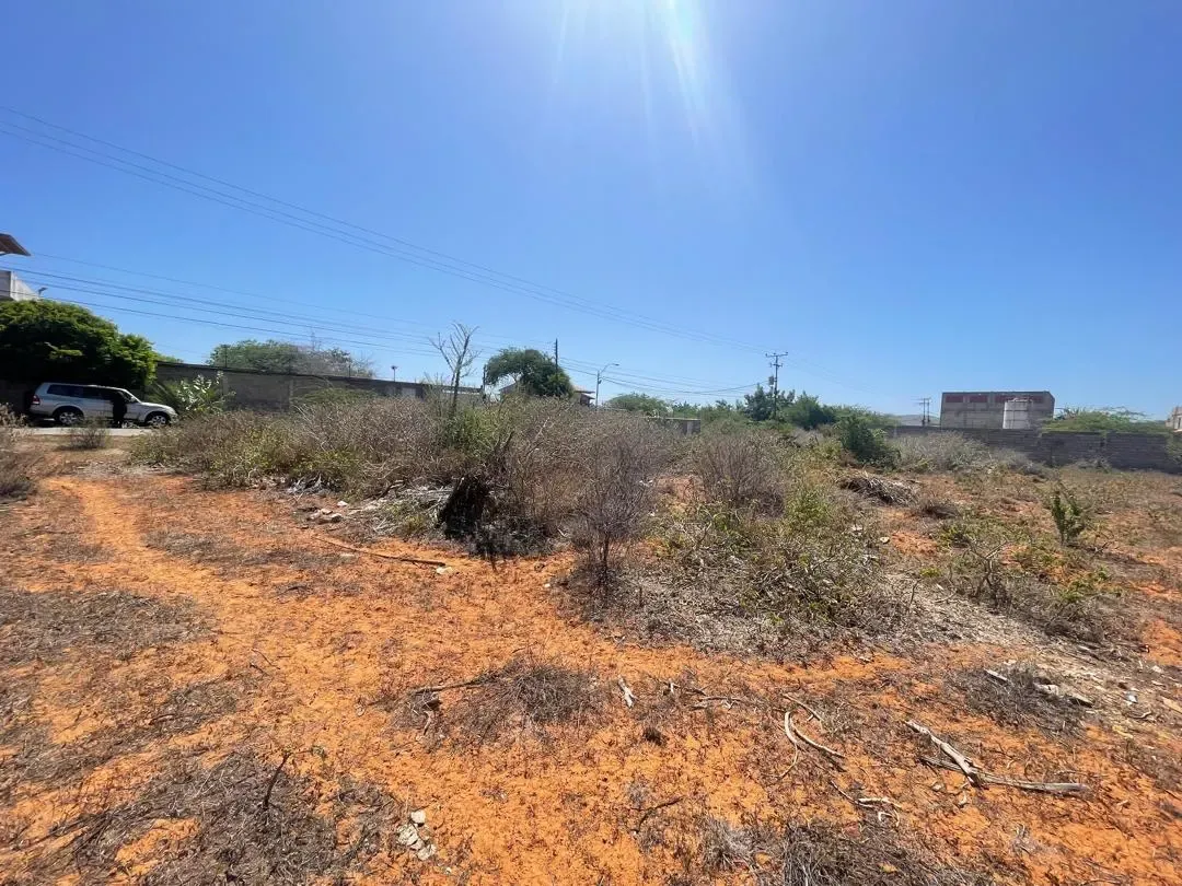 Parcelas A La Venta, Guacuco, Municipio Arismendi. - 11