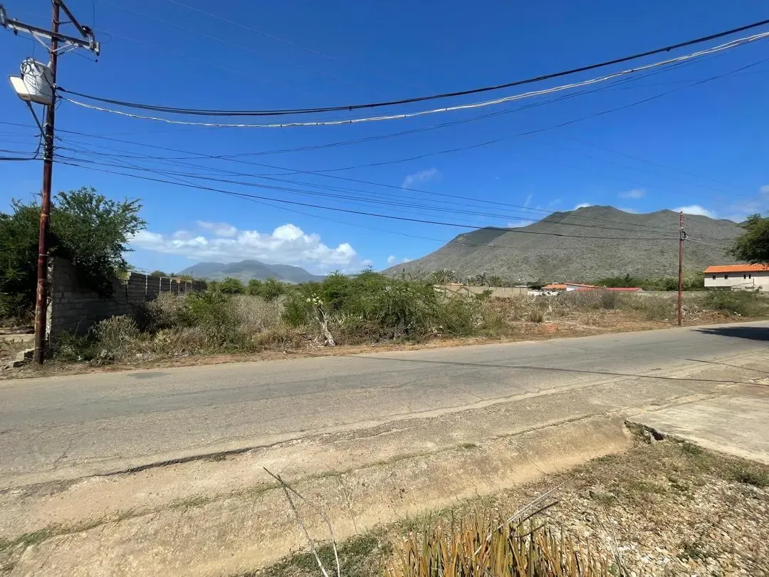 Parcelas A La Venta, Guacuco, Municipio Arismendi. - 3