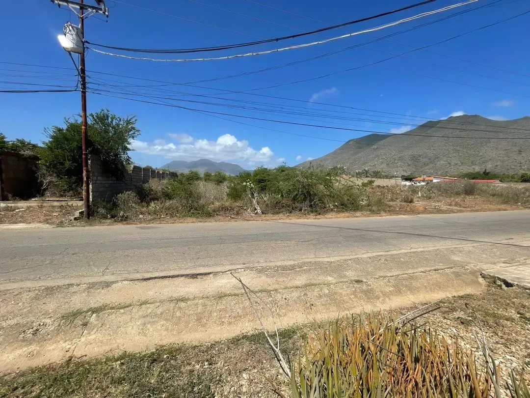 Parcelas A La Venta, Guacuco, Municipio Arismendi. - 4